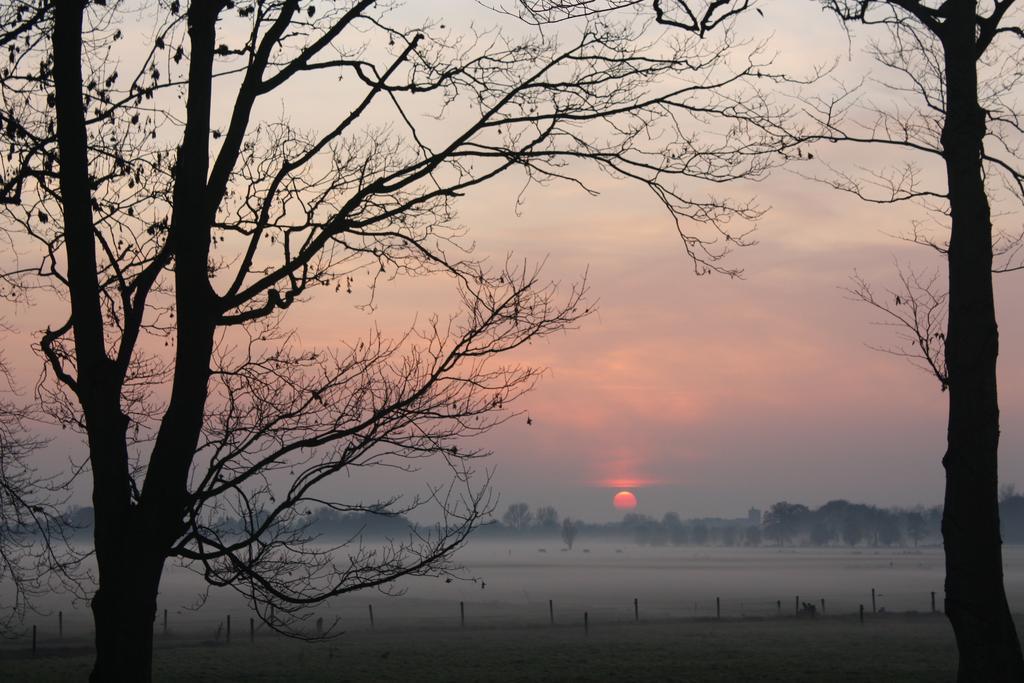 B&B Buitenplaats Natuurlijk Goed Oosterwolde  Exterior photo