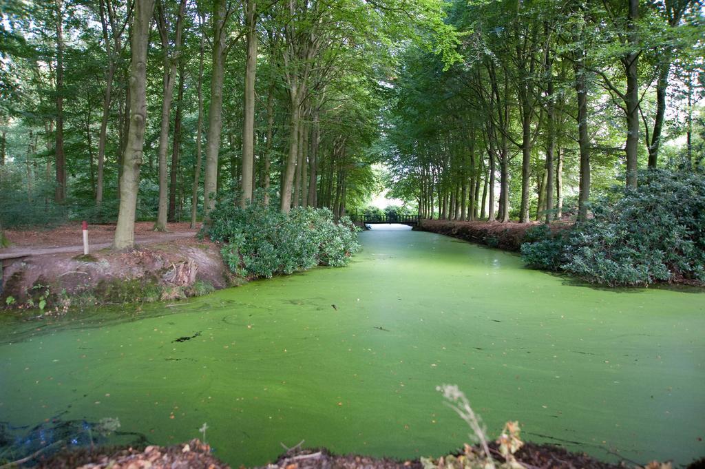 B&B Buitenplaats Natuurlijk Goed Oosterwolde  Exterior photo